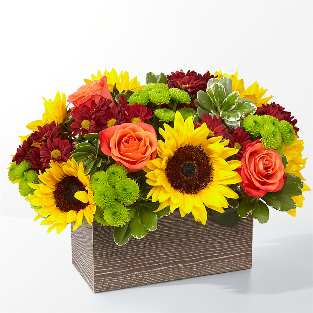Happy Harvest Garden – Just Bloom, Elk Grove CA