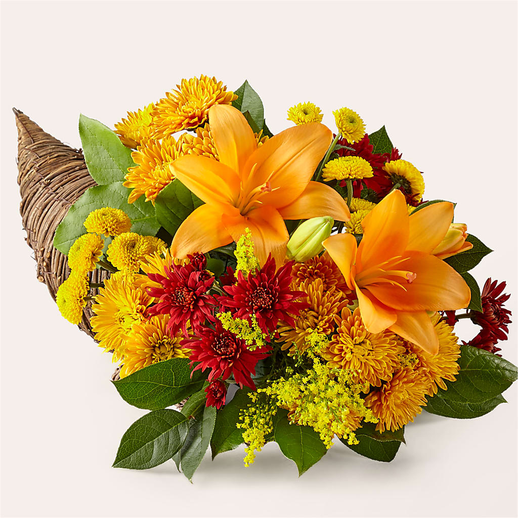 Feast of Color Cornucopia – Just Bloom, Elk Grove CA