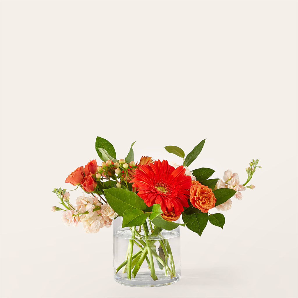 Paloma Please Bouquet – Just Bloom, Elk Grove CA