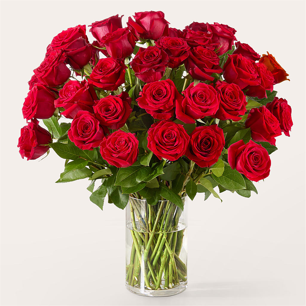 The One Red Rose Bouquet – Just Bloom, Elk Grove CA