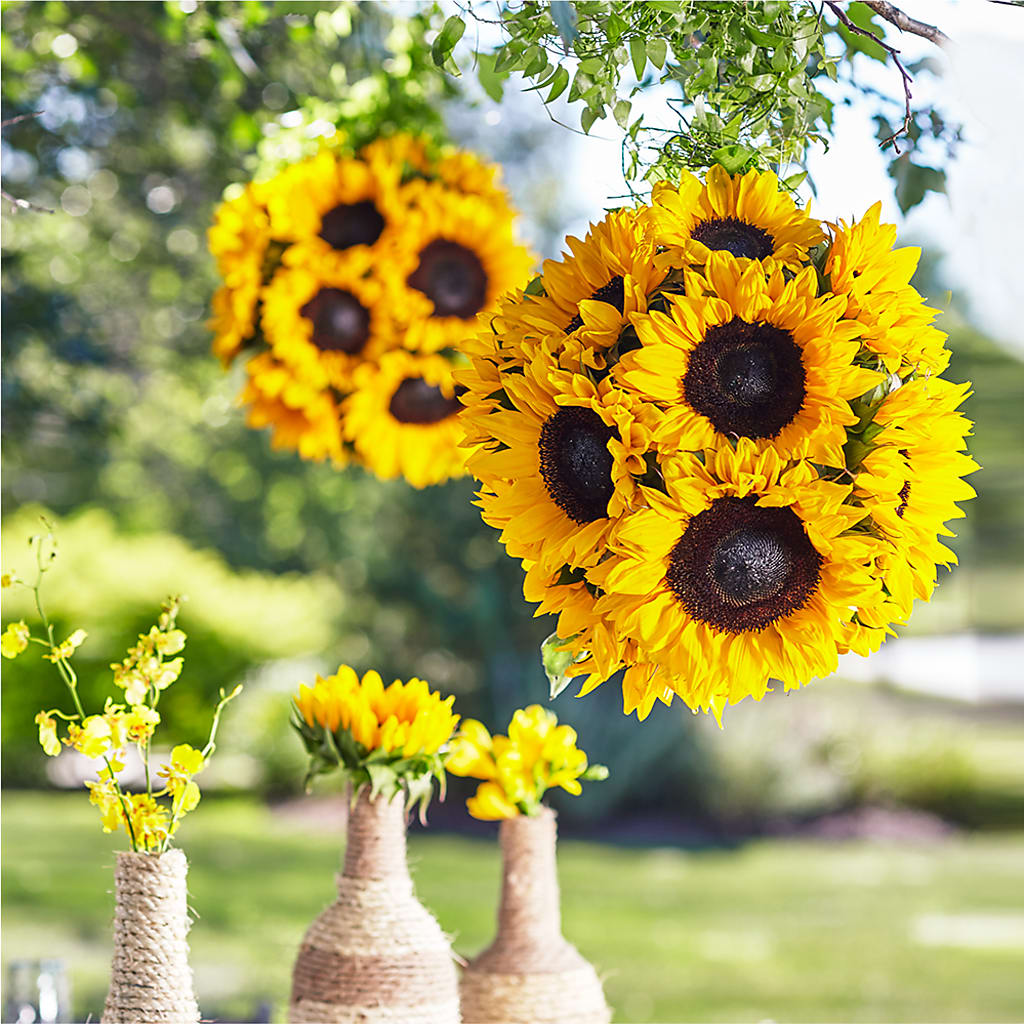 Sublime Garden Hanging Arrangement – Just Bloom, Elk Grove CA