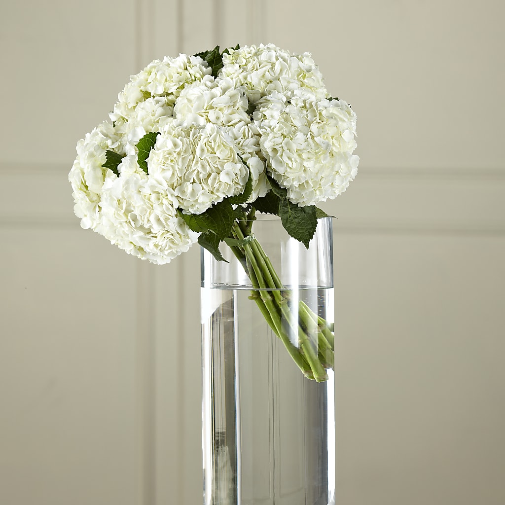 White Hydrangea Hand-Tied Bouquet – Just Bloom, Elk Grove CA