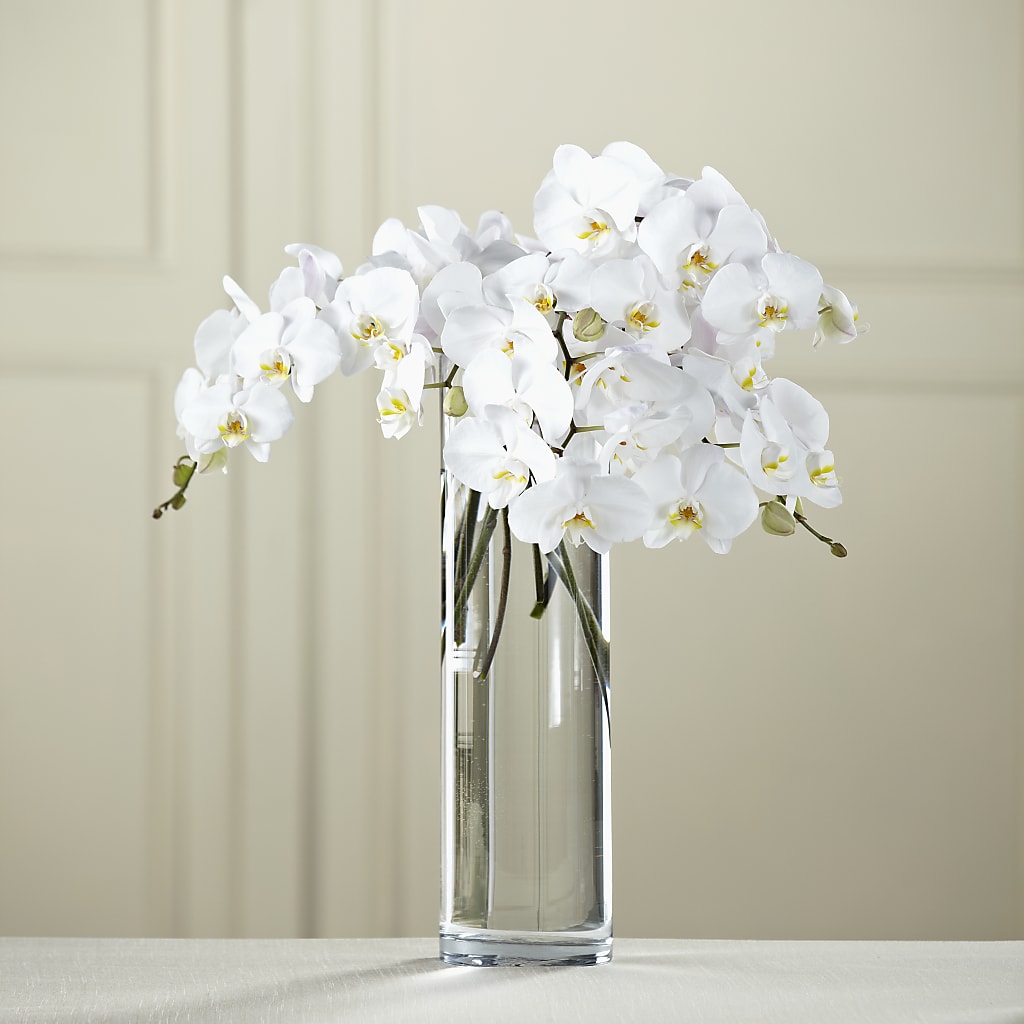 White Phalaenopsis Bouquet – Just Bloom, Elk Grove CA