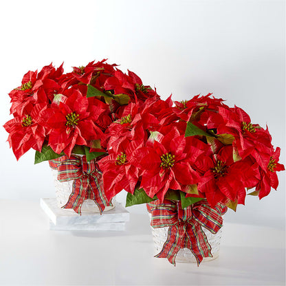 Happiest Holidays Poinsettia Bundle –  Just Bloom, Elk Grove CA