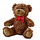 Adorable Plush Bear –  Just Bloom, Elk Grove CA