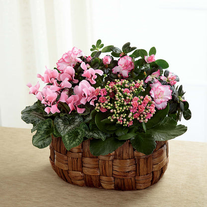 Pink Assortment –  Just Bloom, Elk Grove CA
