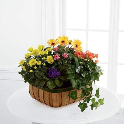 Gentle Blossoms Basket –  Just Bloom, Elk Grove CA