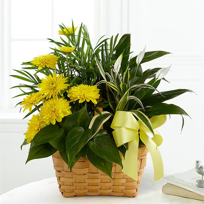 Loving Light Dishgarden –  Just Bloom, Elk Grove CA