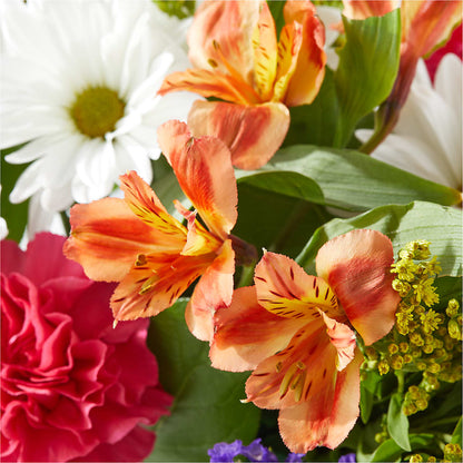 Oopsie Daisy Box Bouquet –  Just Bloom, Elk Grove CA