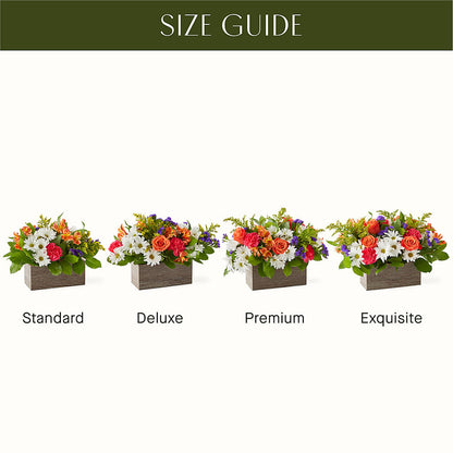 Oopsie Daisy Box Bouquet –  Just Bloom, Elk Grove CA