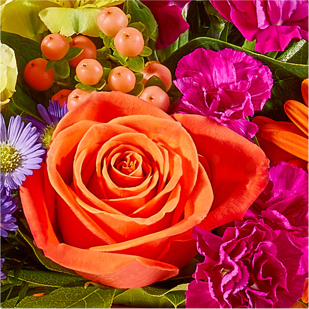 Tricks & Treats Pumpkin –  Just Bloom, Elk Grove CA