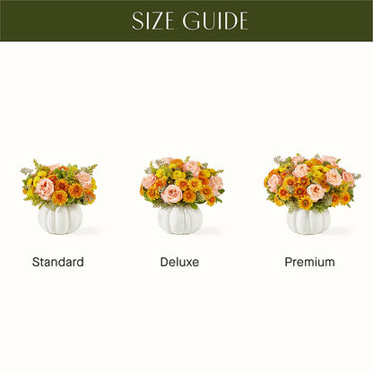 Peachy Pumpkin –  Just Bloom, Elk Grove CA