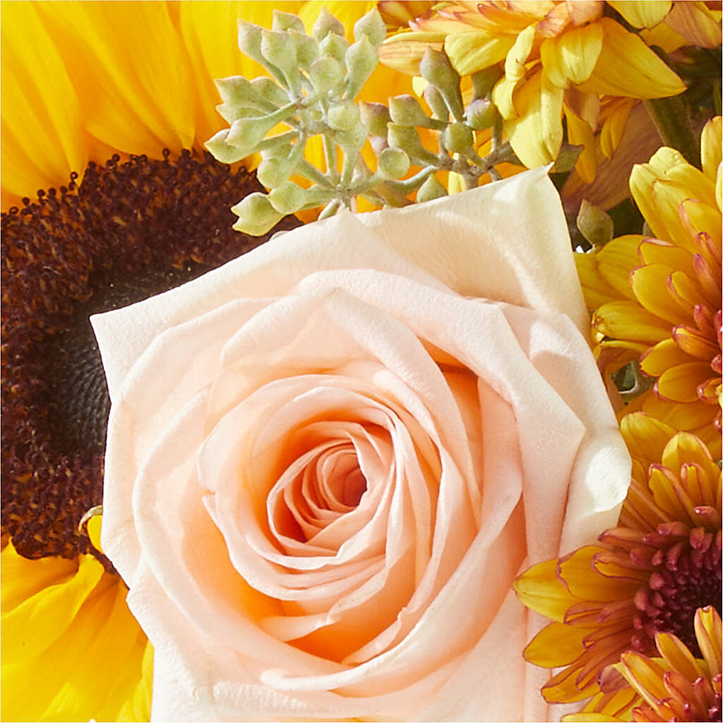 Pumpkin to Talk About Bouquet –  Just Bloom, Elk Grove CA