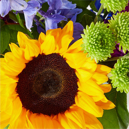 Catching Rays Bouquet –  Just Bloom, Elk Grove CA