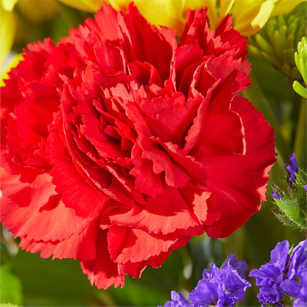 Brighter Days Bouquet –  Just Bloom, Elk Grove CA