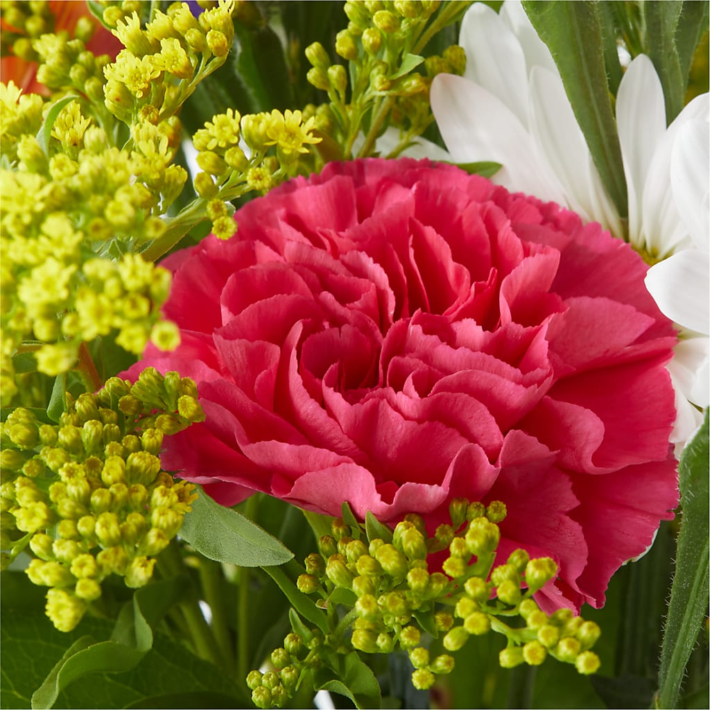 Oopsie Daisy Bouquet –  Just Bloom, Elk Grove CA