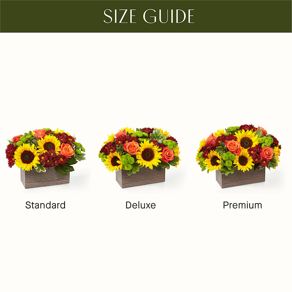 Happy Harvest Garden –  Just Bloom, Elk Grove CA