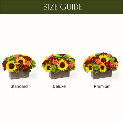 Happy Harvest Garden –  Just Bloom, Elk Grove CA