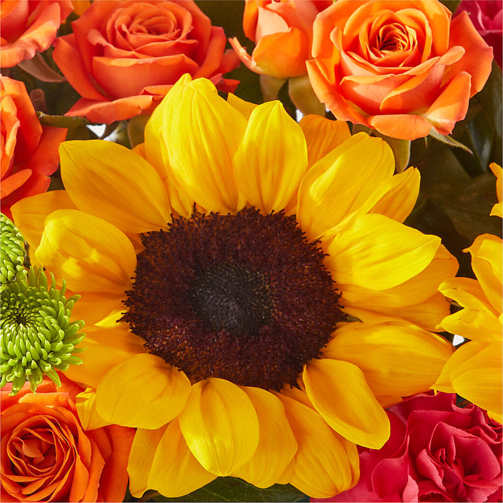 Sun-drenched Blooms Box Bouquet –  Just Bloom, Elk Grove CA