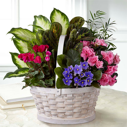 Peaceful Garden Planter –  Just Bloom, Elk Grove CA