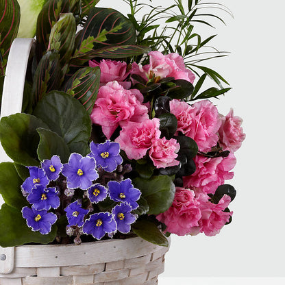 Peaceful Garden Planter –  Just Bloom, Elk Grove CA