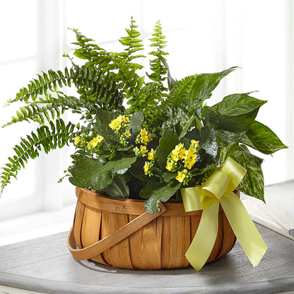 Always Dear Dishgarden –  Just Bloom, Elk Grove CA