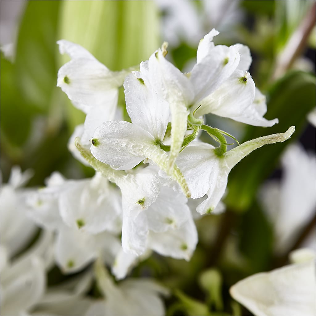 Classic Ivory – A Florist Original –  Just Bloom, Elk Grove CA