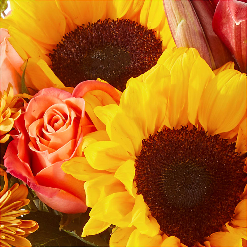 Acorn Lane Bouquet –  Just Bloom, Elk Grove CA