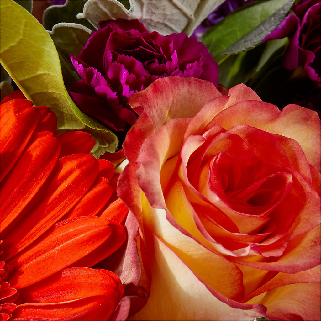 Sangria Bouquet –  Just Bloom, Elk Grove CA