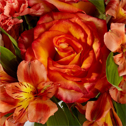 Apricot Glow Bouquet –  Just Bloom, Elk Grove CA
