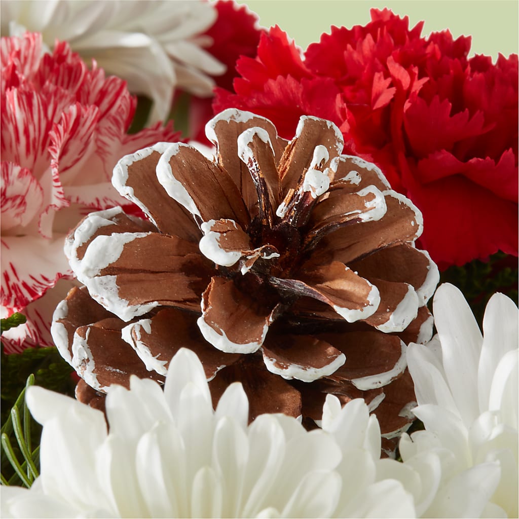 Candy Cane Lane Bouquet –  Just Bloom, Elk Grove CA