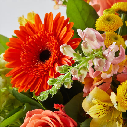 Autumn Sunshine Bouquet –  Just Bloom, Elk Grove CA
