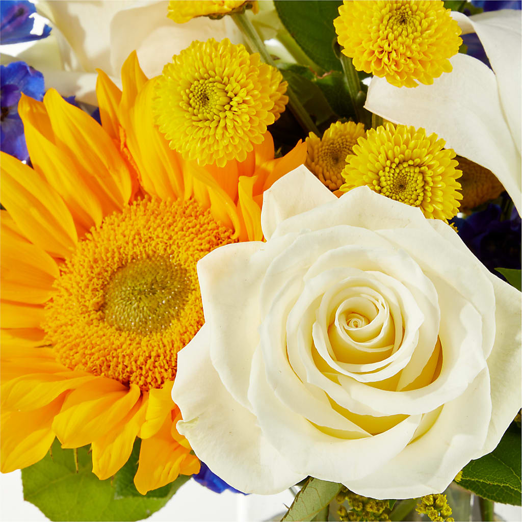 Stargazing Bouquet –  Just Bloom, Elk Grove CA