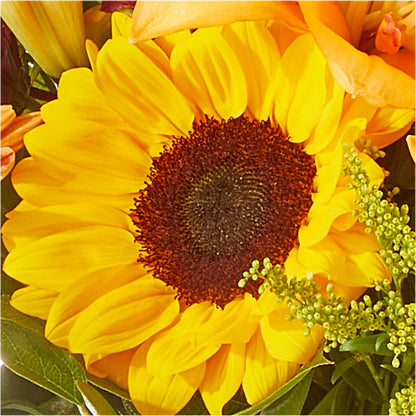 Seasons Change Bouquet –  Just Bloom, Elk Grove CA