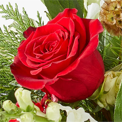 Deck the Halls Bouquet –  Just Bloom, Elk Grove CA