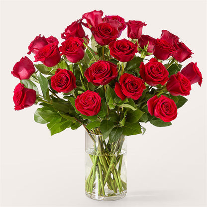 The One Red Rose Bouquet –  Just Bloom, Elk Grove CA