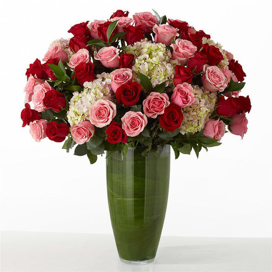The Allure –  Just Bloom, Elk Grove CA
