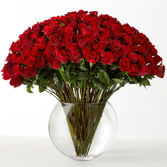The Idealist –  Just Bloom, Elk Grove CA