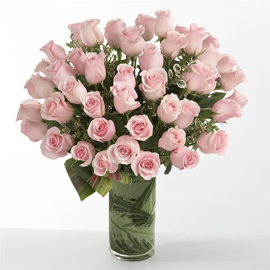 Pink Essence –  Just Bloom, Elk Grove CA