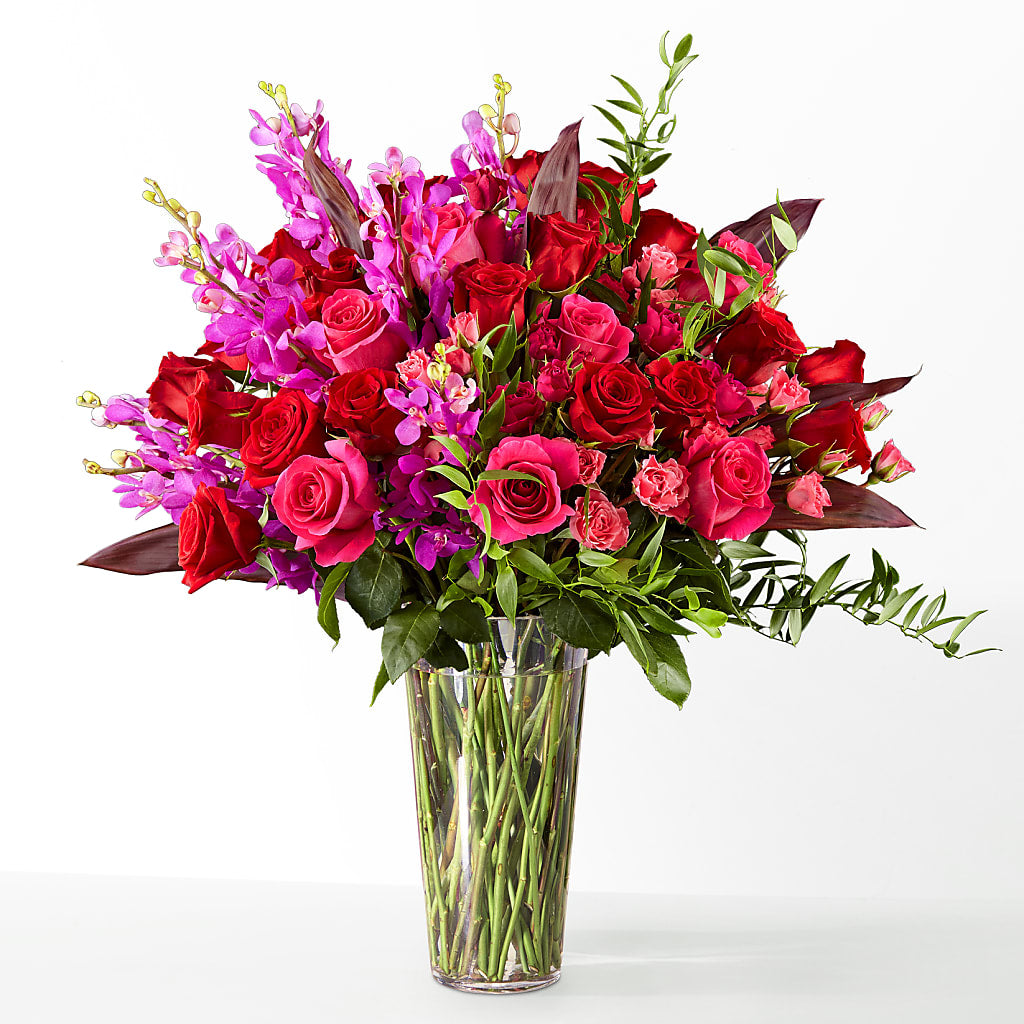 The Honeymoon –  Just Bloom, Elk Grove CA