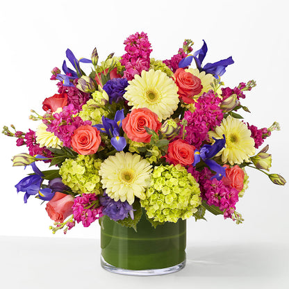 The Couture –  Just Bloom, Elk Grove CA