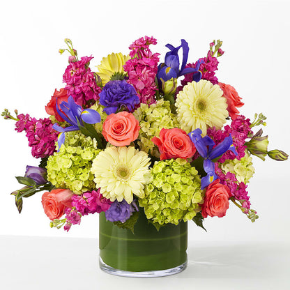 The Couture –  Just Bloom, Elk Grove CA