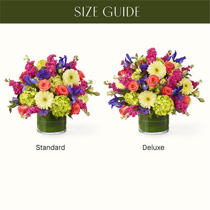 The Couture –  Just Bloom, Elk Grove CA
