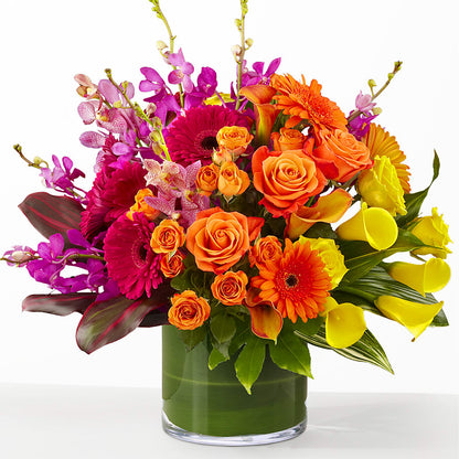 The Mosaic –  Just Bloom, Elk Grove CA