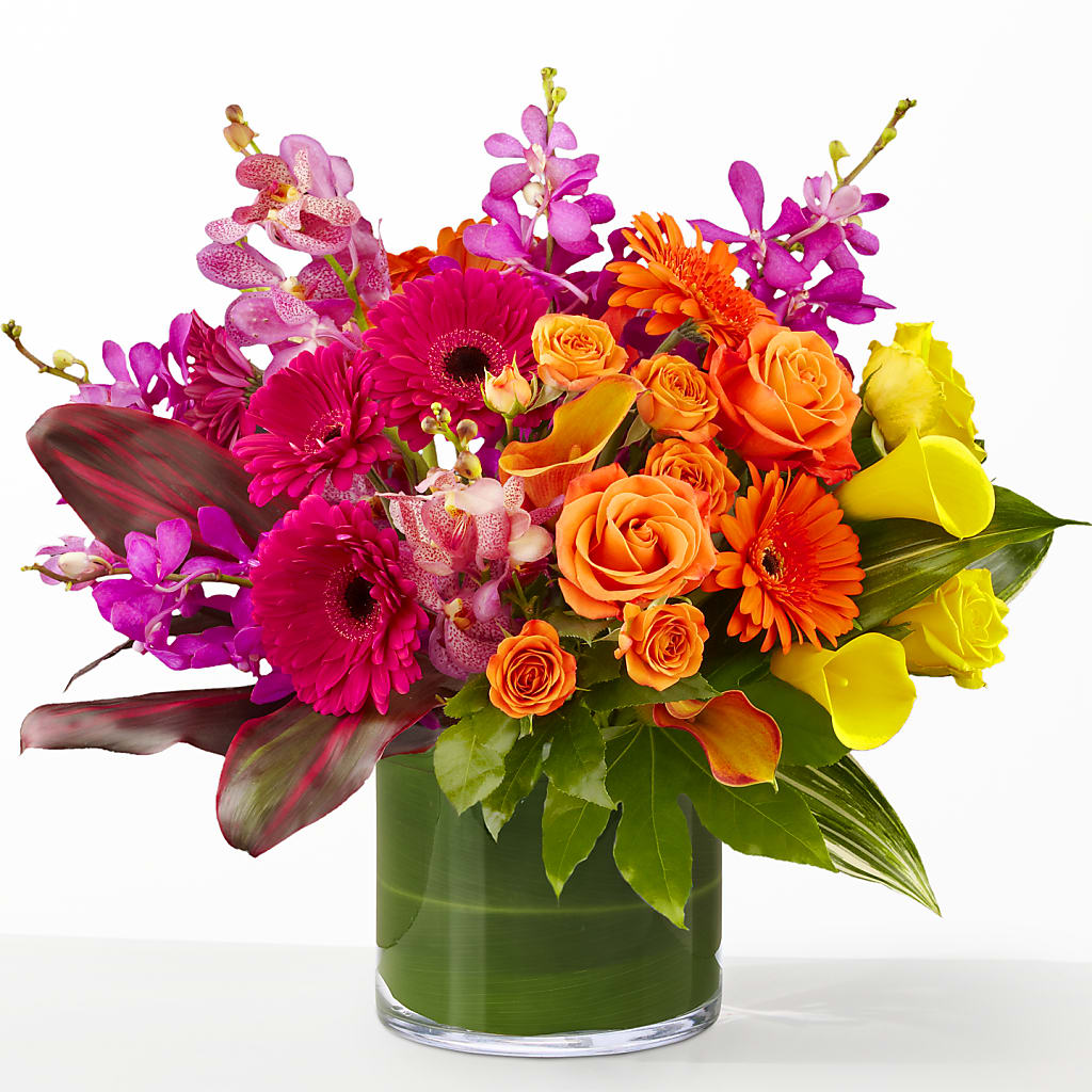 The Mosaic –  Just Bloom, Elk Grove CA