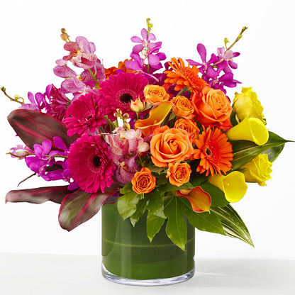 The Mosaic –  Just Bloom, Elk Grove CA