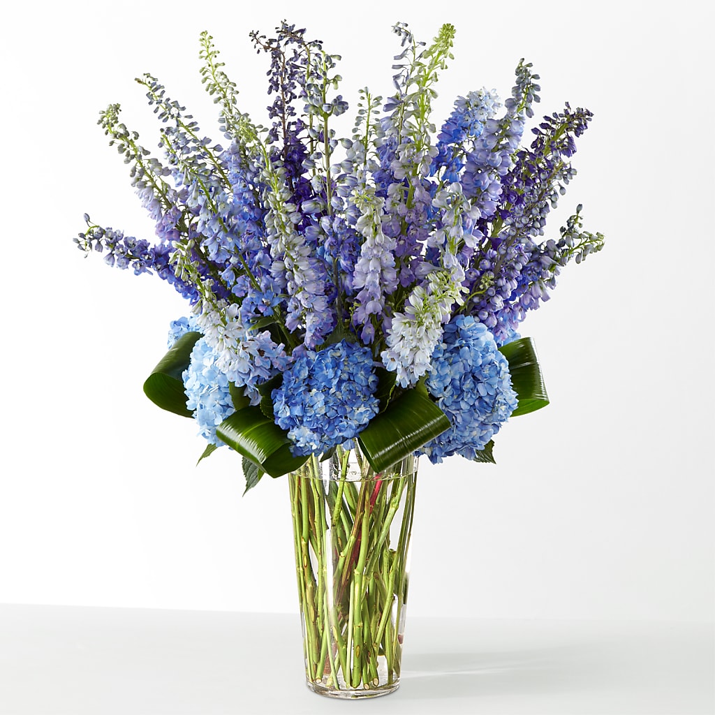 The Editorial –  Just Bloom, Elk Grove CA