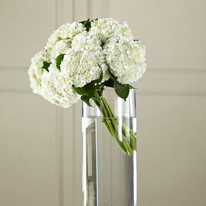 White Hydrangea Hand-Tied Bouquet –  Just Bloom, Elk Grove CA