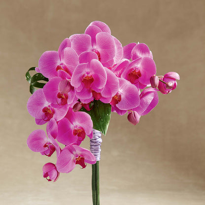 Glorious Bouquet –  Just Bloom, Elk Grove CA