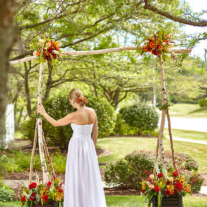 Arbor of Love Archway –  Just Bloom, Elk Grove CA